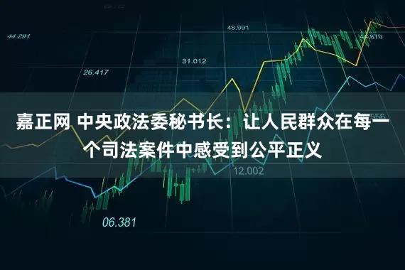 嘉正网 中央政法委秘书长：让人民群众在每一个司法案件中感受到公平正义