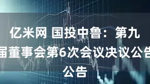 亿米网 国投中鲁：第九届董事会第6次会议决议公告