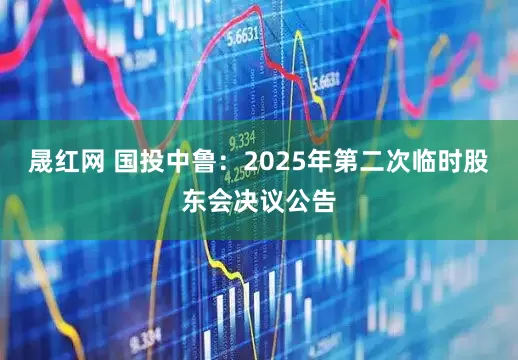 晟红网 国投中鲁：2025年第二次临时股东会决议公告